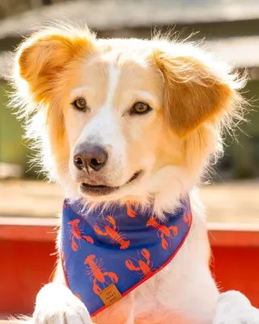 Catch of the Day Navy Dog Bandana (Made in the USA)