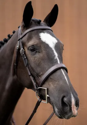 Show Hunter Bridle